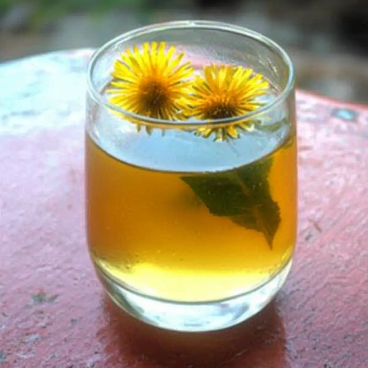 Dandelion Iced Tea